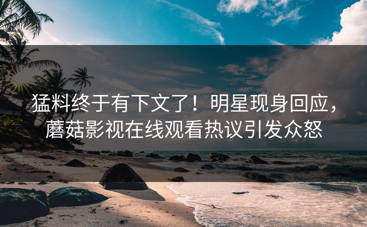 猛料终于有下文了！明星现身回应，蘑菇影视在线观看热议引发众怒