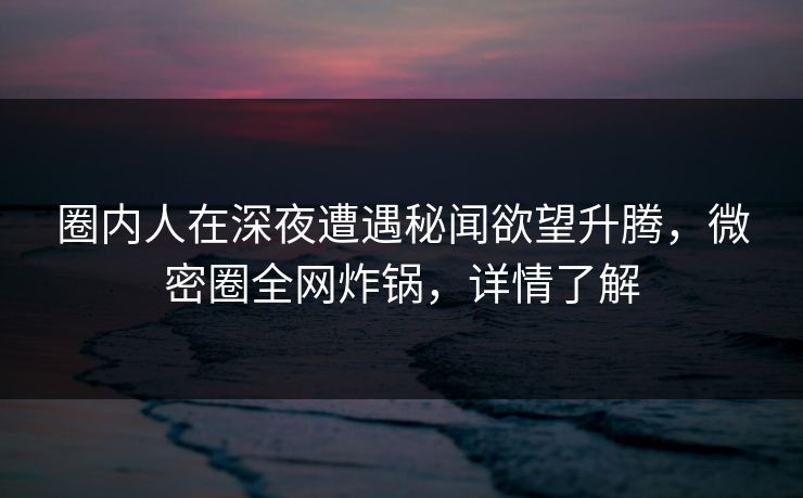 圈内人在深夜遭遇秘闻欲望升腾，微密圈全网炸锅，详情了解