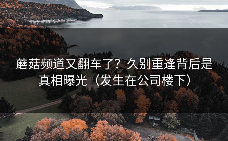 蘑菇频道又翻车了？久别重逢背后是真相曝光（发生在公司楼下）