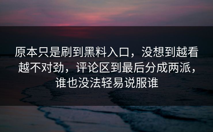 原本只是刷到黑料入口，没想到越看越不对劲，评论区到最后分成两派，谁也没法轻易说服谁